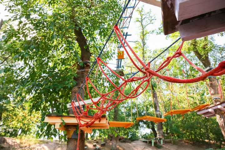 Rope obstacle course with red ropes and wooden platforms among trees.
