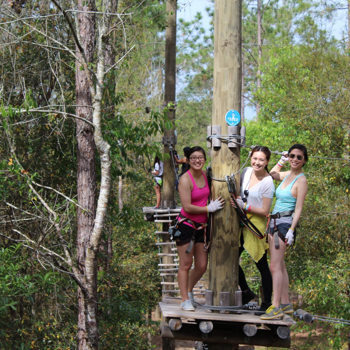Three women with harnesses on a tree platform in a forest, smiling at the camera.