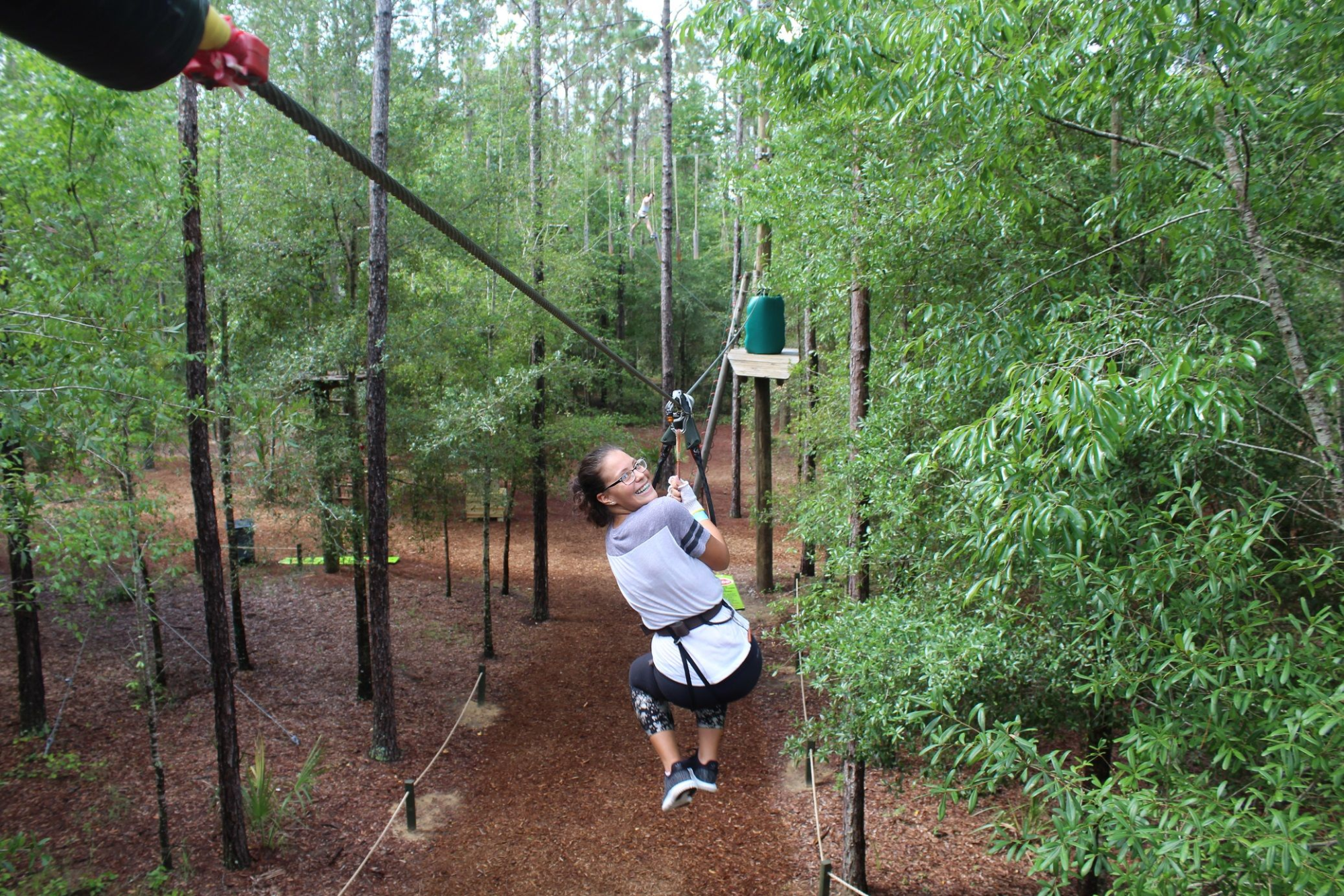 Person ziplining through a forest wearing safety gear, surrounded by trees.